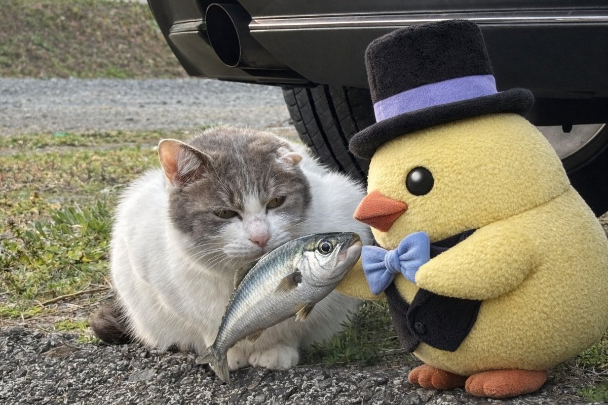 Almondfish🦈サメ子 (@realAlmondfish) on X