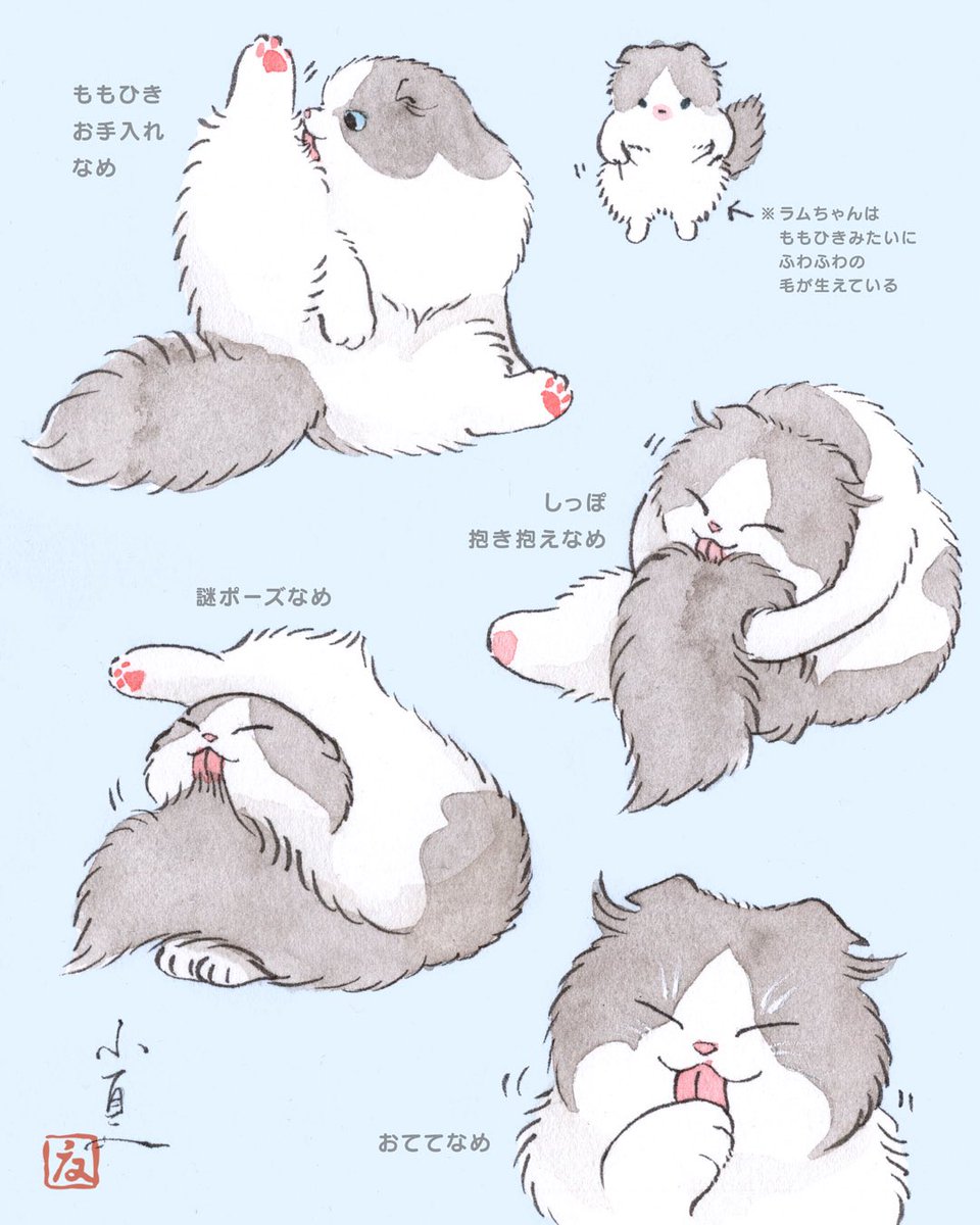 こなつ (@konatsu_tunacan) / Posts / X