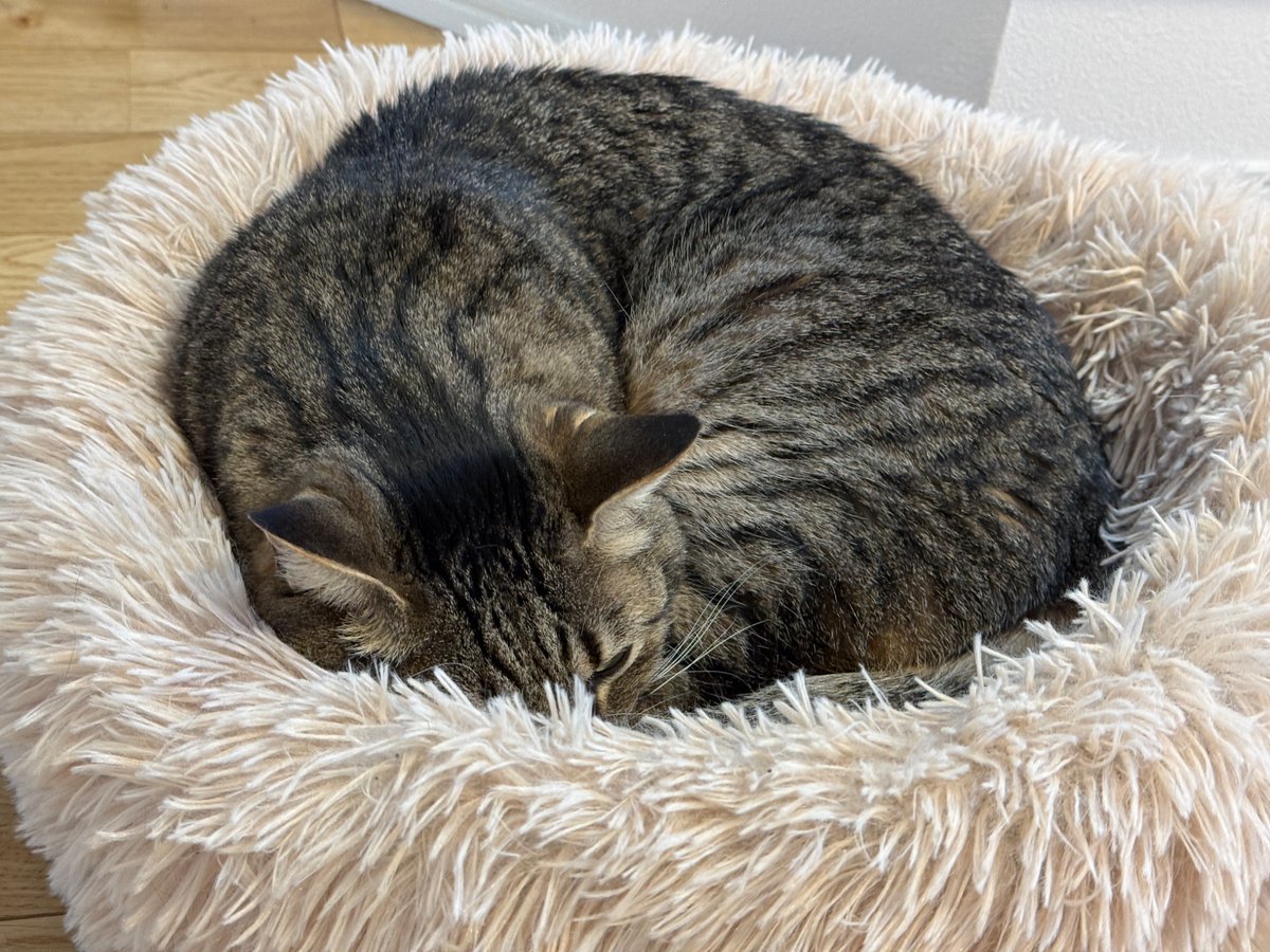 ライチ (@Raiti_01) / Posts / X