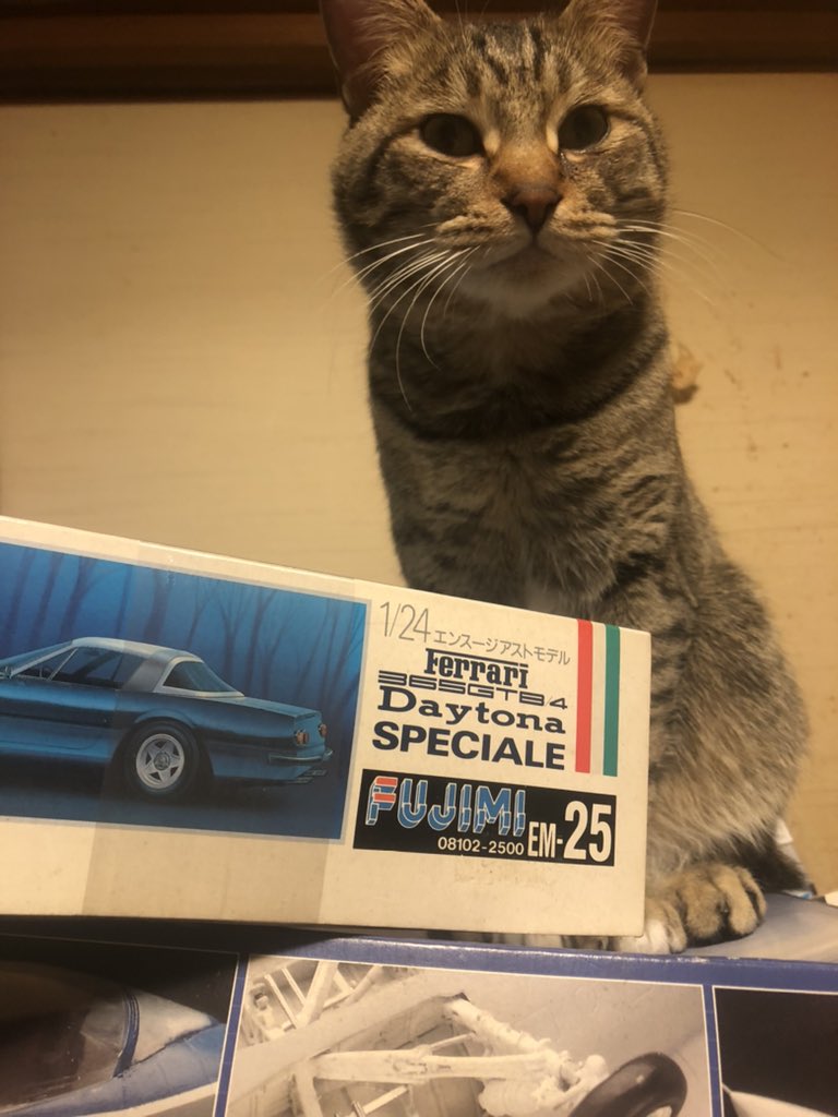 しいなとりで (@jetto) / Posts / X