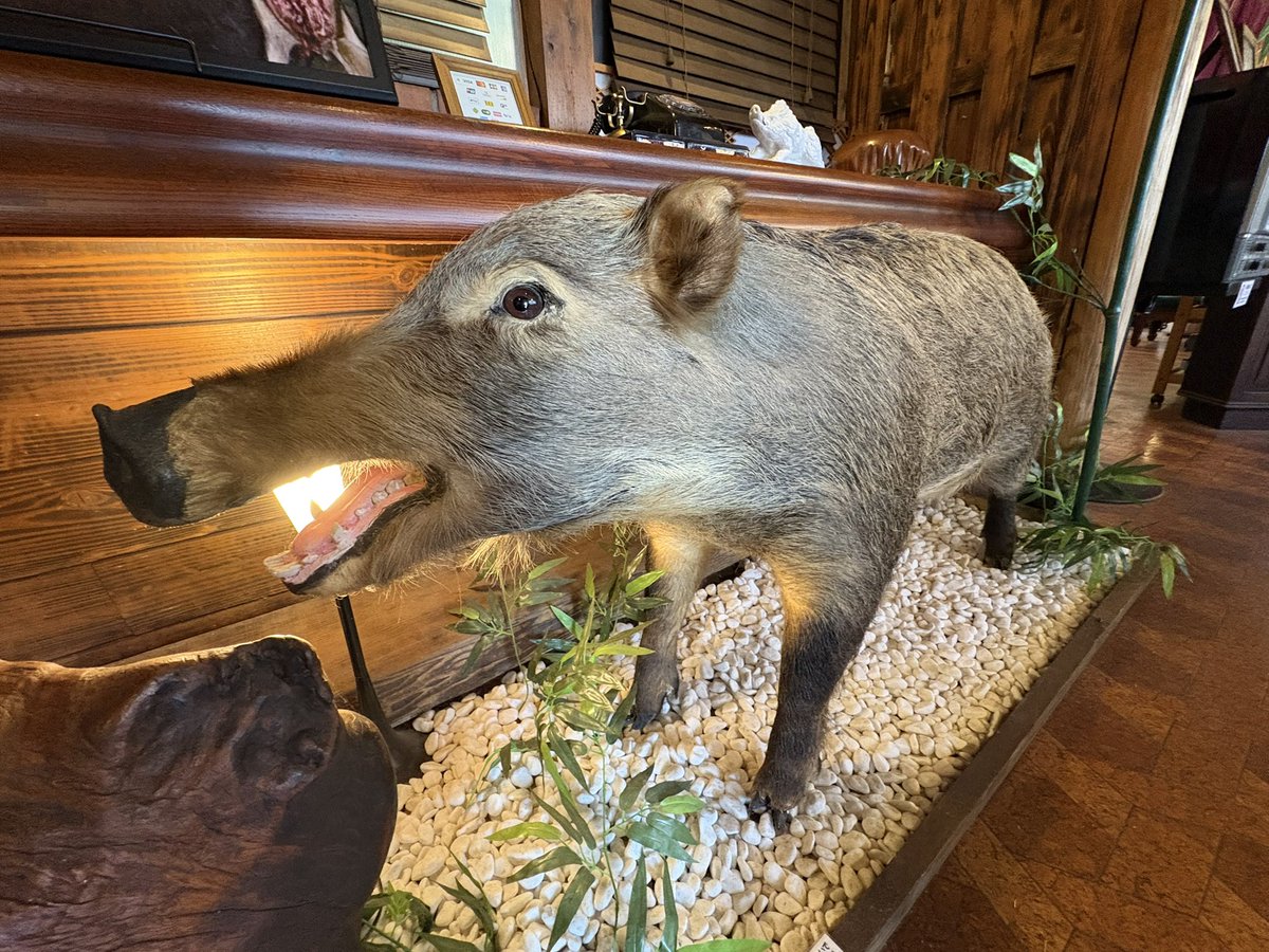 wakko_breakout 鹿🦌とか猪🐗の剥製見ながら、🦌🐗🥩食べちゃうくらい