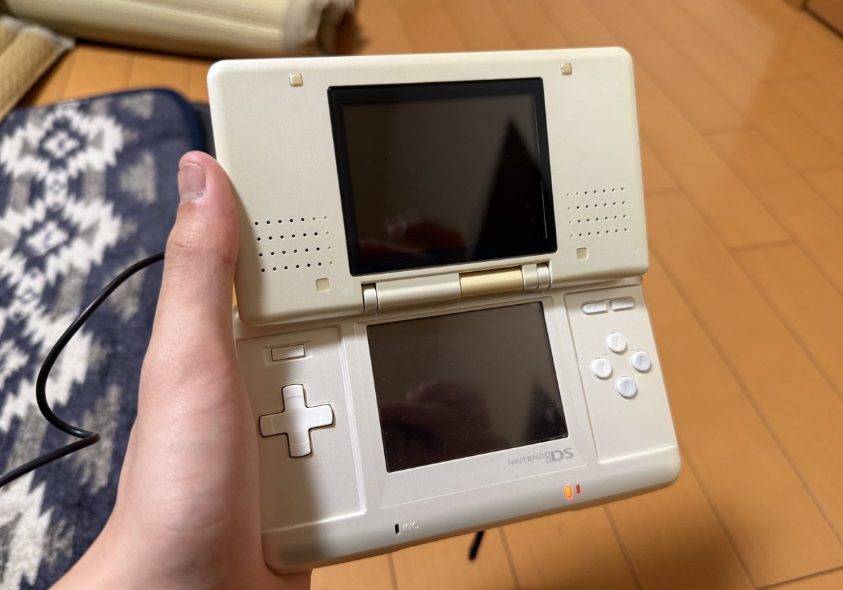 テレビ台の引き出しの中から祖父が使ってたらしいニンテンドーDSを発掘