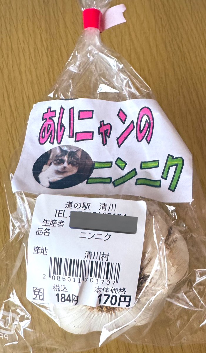 YSU (@JapanYsu) / Posts / X