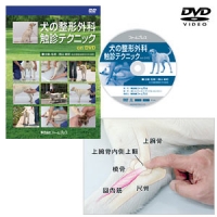 外科｜動物医療関係者の通販サイト ペピイベット（PEPPYvet）【旧