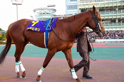 カネヒキリ、ヴァーミリアンとの一騎打ちを制し、豪華メンバーの東京