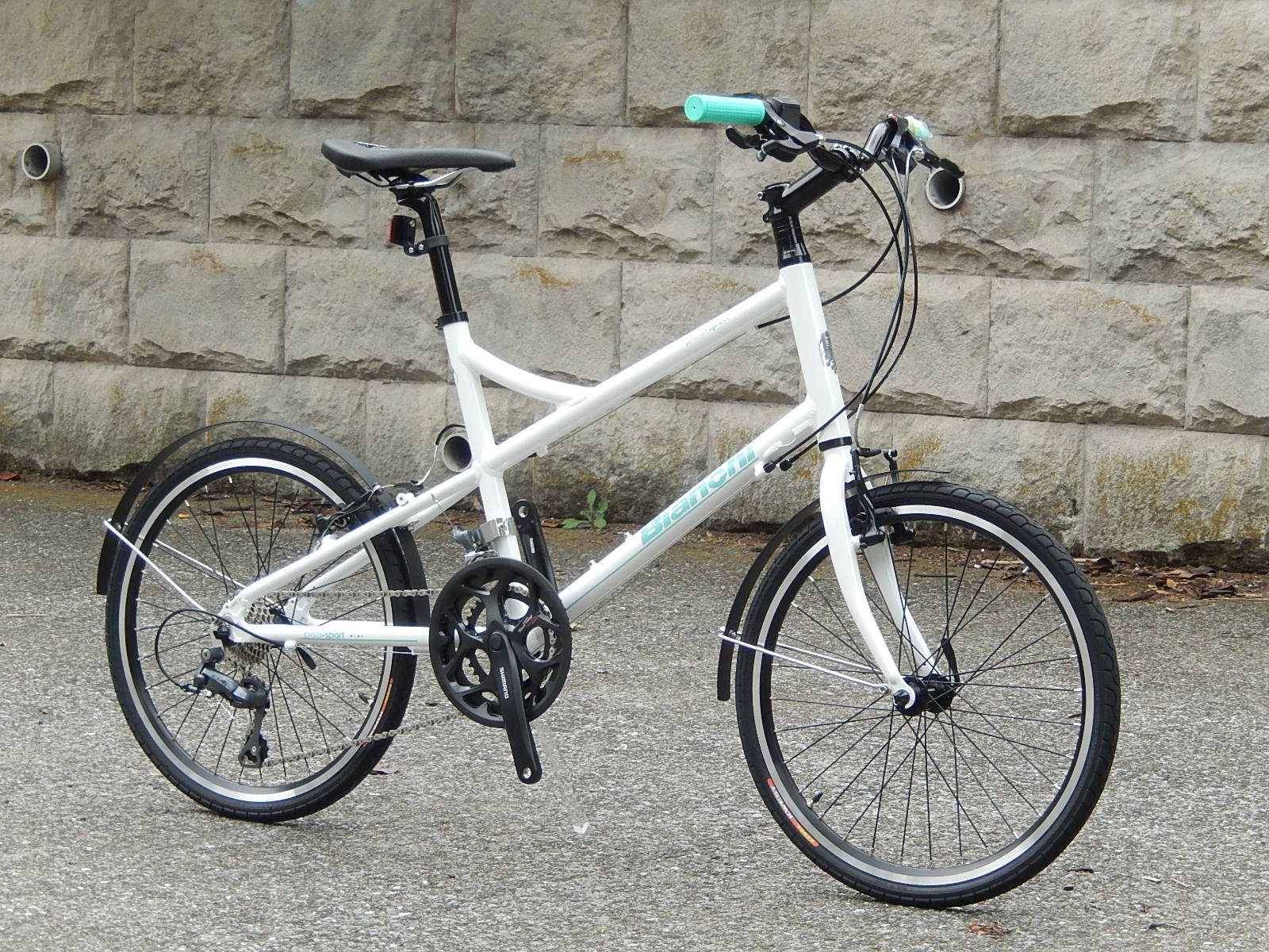 Bianchi PISA SPORT FLAT 入荷 - ミニベロ (小径車) 専門店 Flamebike