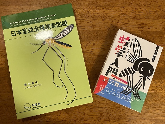 ヒトスジシマカ : 海を歩くゲンゴロウ