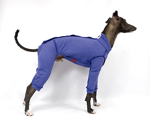 バックオープンスウェット イタグレサイズ pim:liko（ピムリコ）