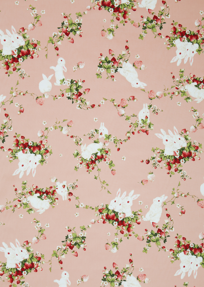 野いちごの森に迷い込んで…｜ピンクハウスオフィシャルオンライン