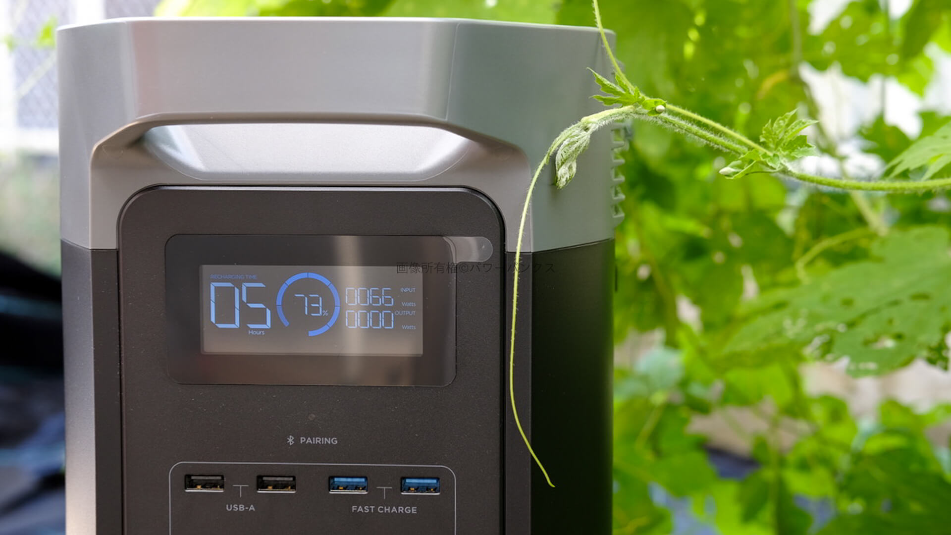 EcoFlow DELTA 2は「型落ち」じゃなく“賢い一台”だった【2025年最新版