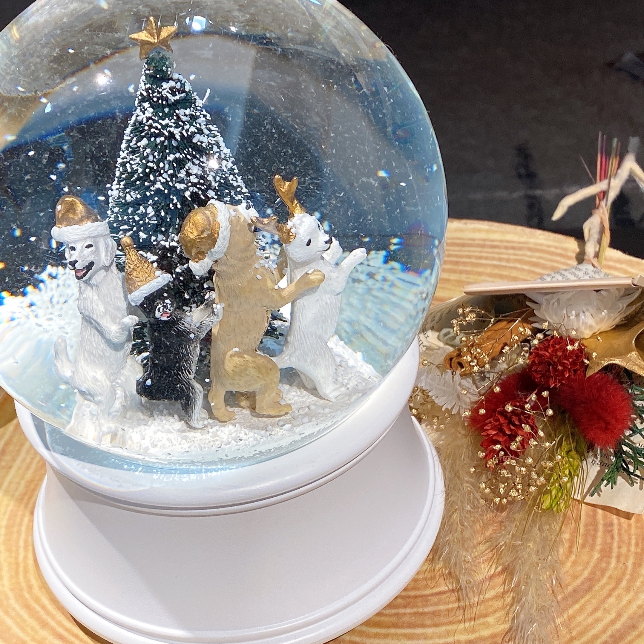 丸亀】スノードーム☆ ｜ PLAZA ALEX｜プラザアレックス