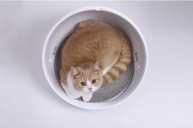 Style、部屋が暑くても寒くても、ペットは快適「スマート・ペット