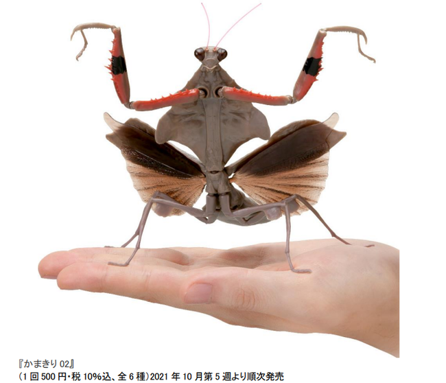 カマキリ 2点 専用 カマキリ 2点 専用 専用 2点セット 2点セット 専用