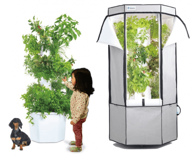 全自動家庭菜園キット「エアロスプリング(Aerospring)」がクラウド