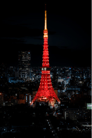 特大サイズ】ドウシシャGarden Motifs Light トウキョータワー 特大