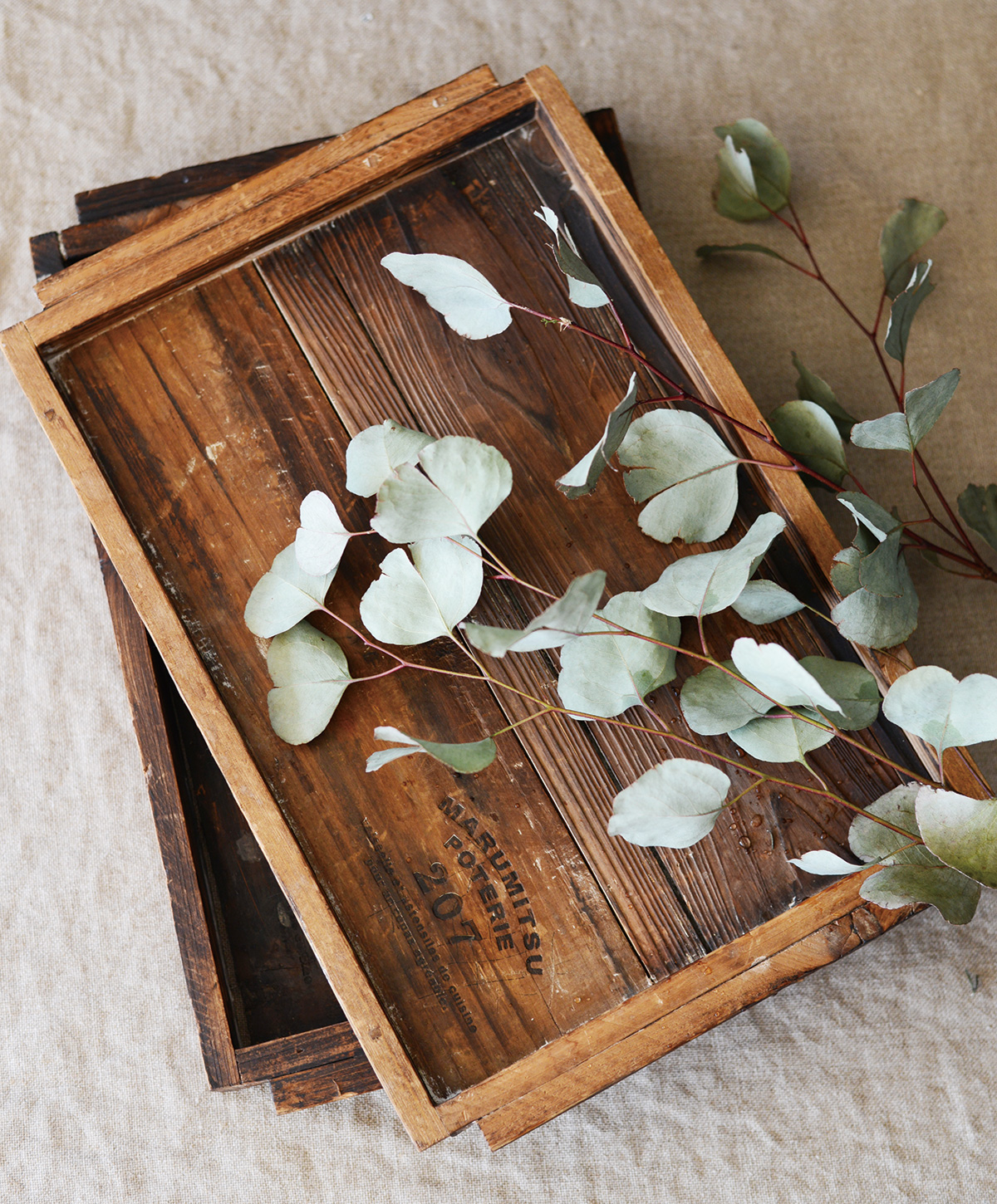 スタジオ エム :: カフェトレー :: カフェトレーL - マルミツウェブ