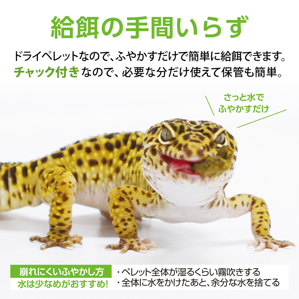 レオパブレンドフード60g | ジェックス株式会社