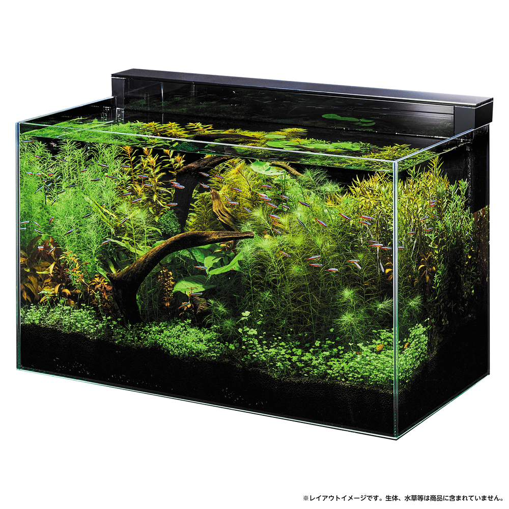 Ga Glassterior TS 600-GC | ジェックス株式会社