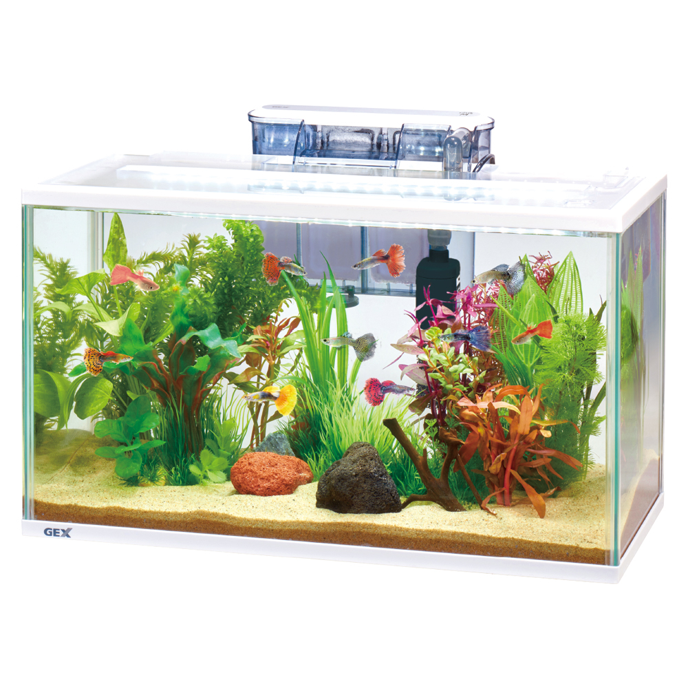 スリムアクアセット500 | ジェックス株式会社