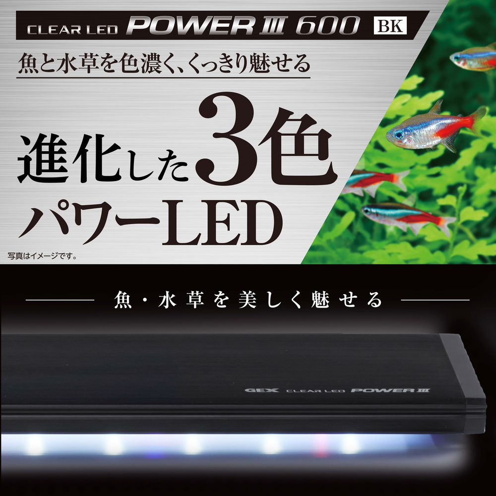 クリア LED POWERⅢ 600 BK[幅60cm水槽用]赤・青・白3色 | ジェックス