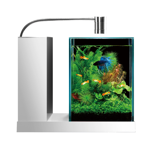 検索結果 | ジェックス株式会社