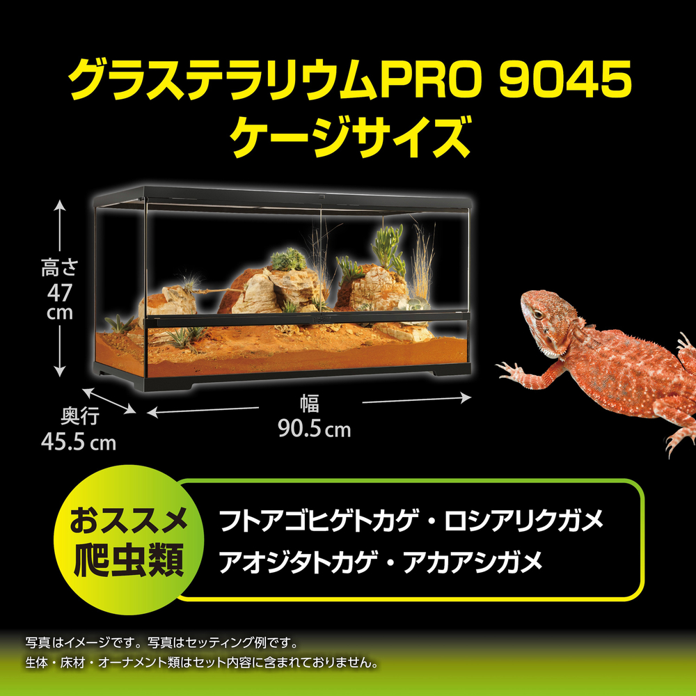 グラステラリウム 4545 【直接引き取り可】 グラステラリウム 4545