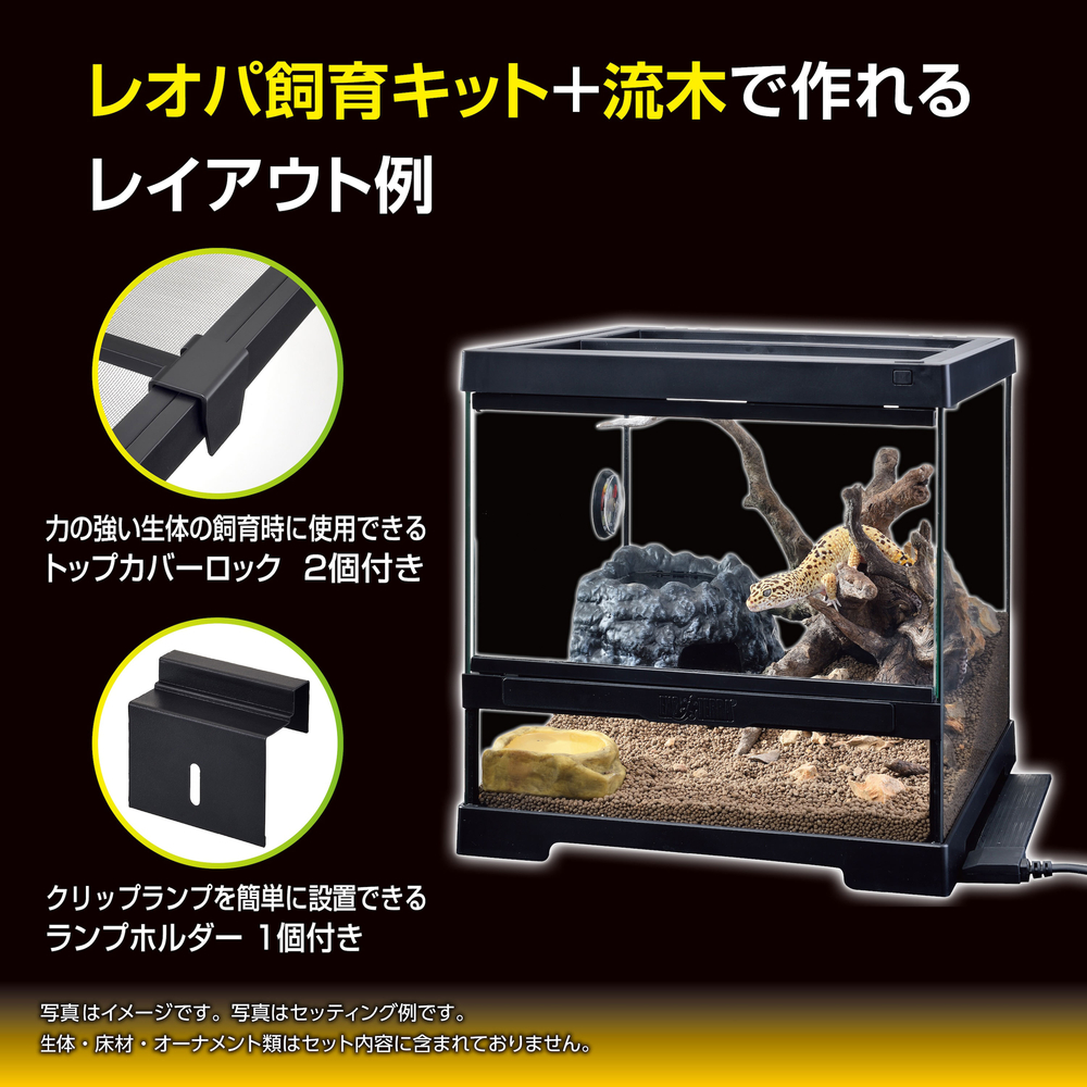 ホ*ナ様 レオパ飼育キット GT3030 【爬虫類初心者にもオススメ