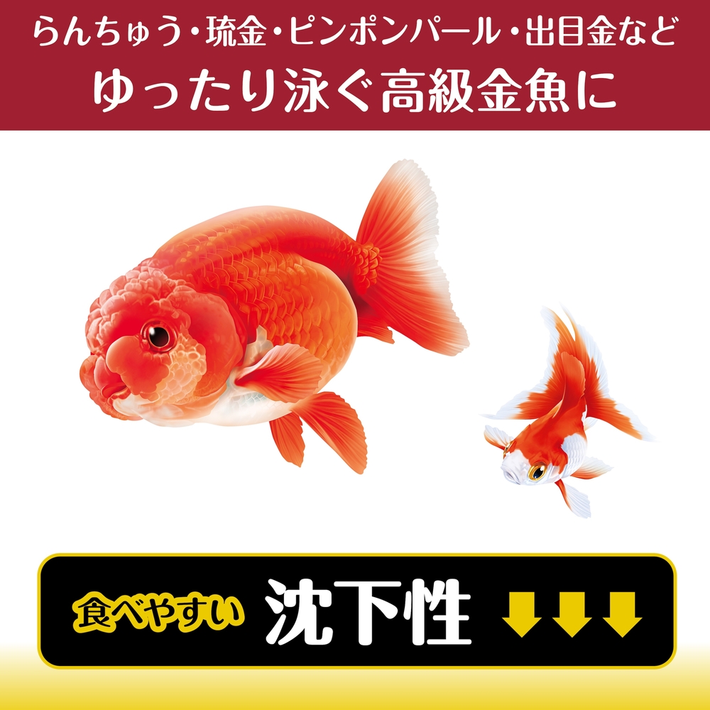 金魚元気 プロバイオパワーフード小粒 沈下性200g | ジェックス株式会社