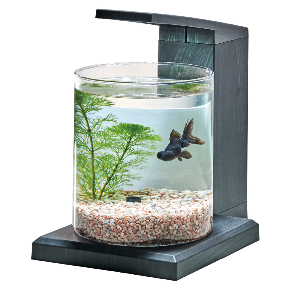 グラスアクア PERCO C-Charcoal Black オールインワン水槽ペルコ