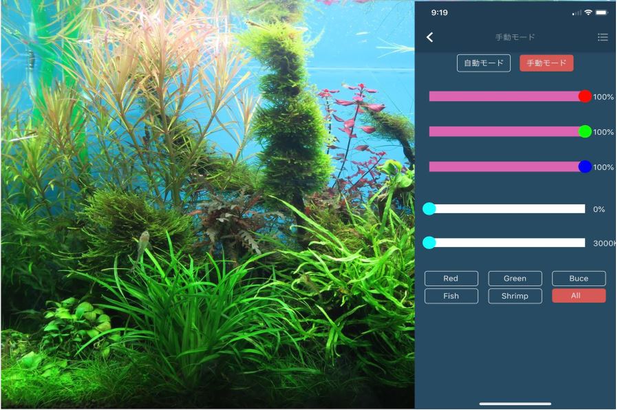 RGB VIVIDⅡ | 有限会社 Raboc(ラボック)