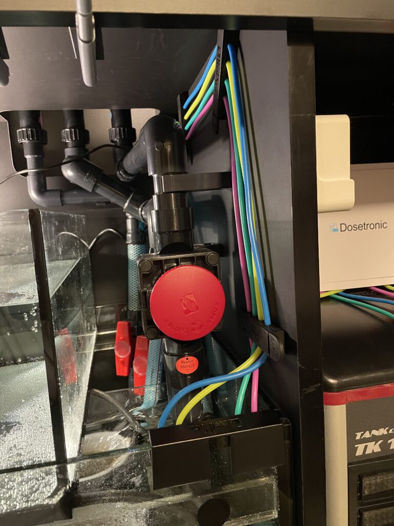 水槽日記 Red Sea カラーチューブキットのレビュー🌱 | 海を創る外科医