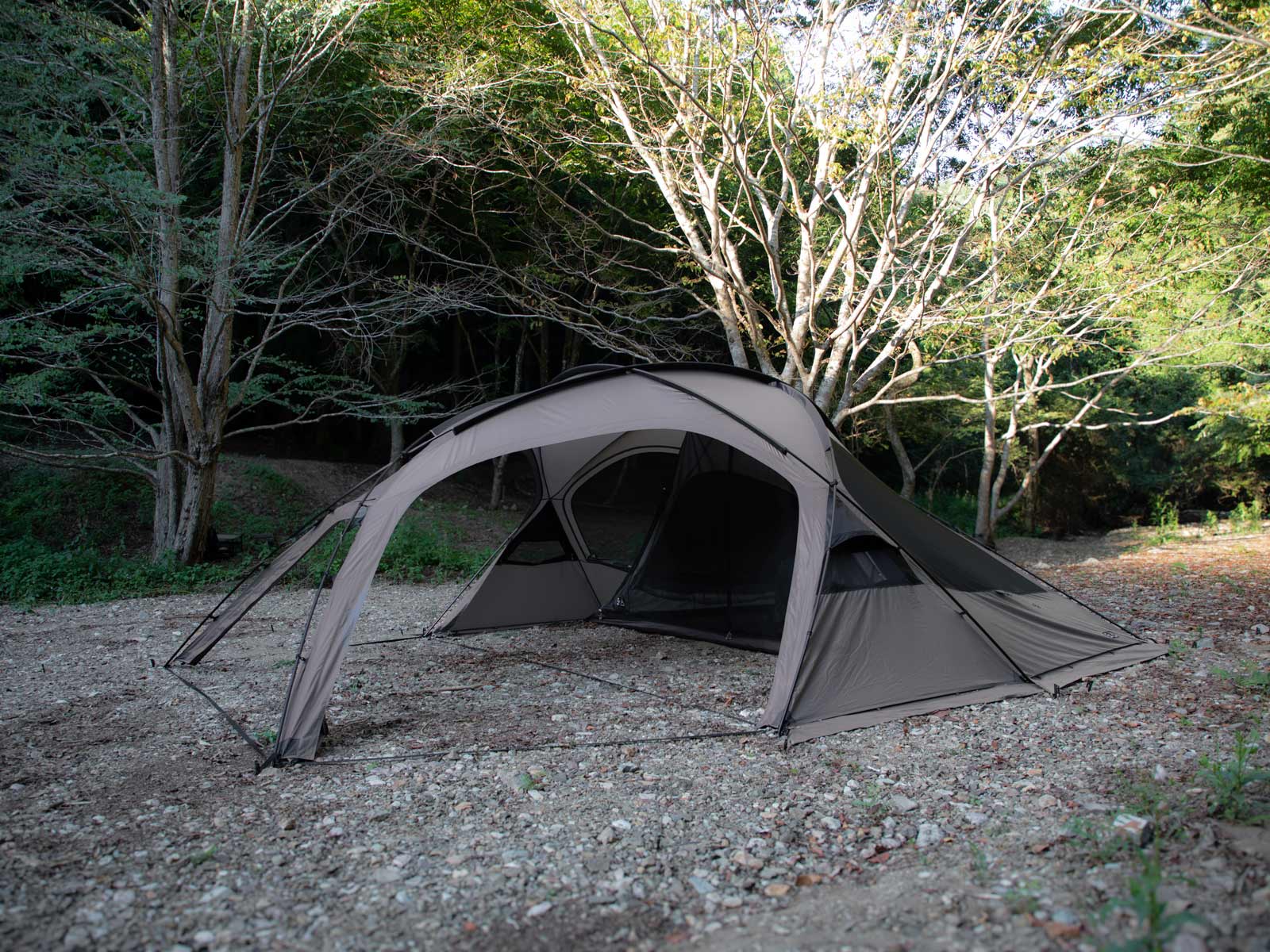 FELSEN -5th ANNIVERSARY LTD.-(フェルセン 5周年記念リミテッド