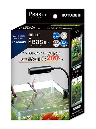 インター淡水用品】小型水槽に新たな光を照らす✨ | 名古屋のペット