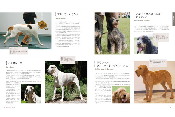 増補改訂 最新 世界の犬種大図鑑」、誠文堂新光社より刊行…21年1月12日