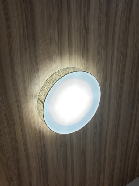 天井照明 TEXAS LED CEILING LIGHT ｜家具・インテリア通販 Re:CENO