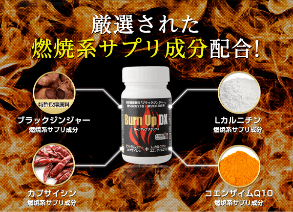 バーンアップDX【2個セット】 ※軽減税率対象です | 健康でいたい