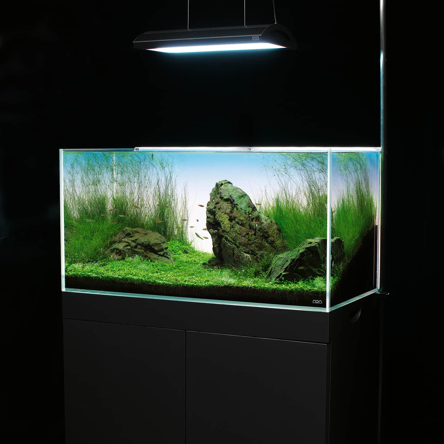 ADA LIGHT SCREEN 60 | Red Leaf Aquascaping