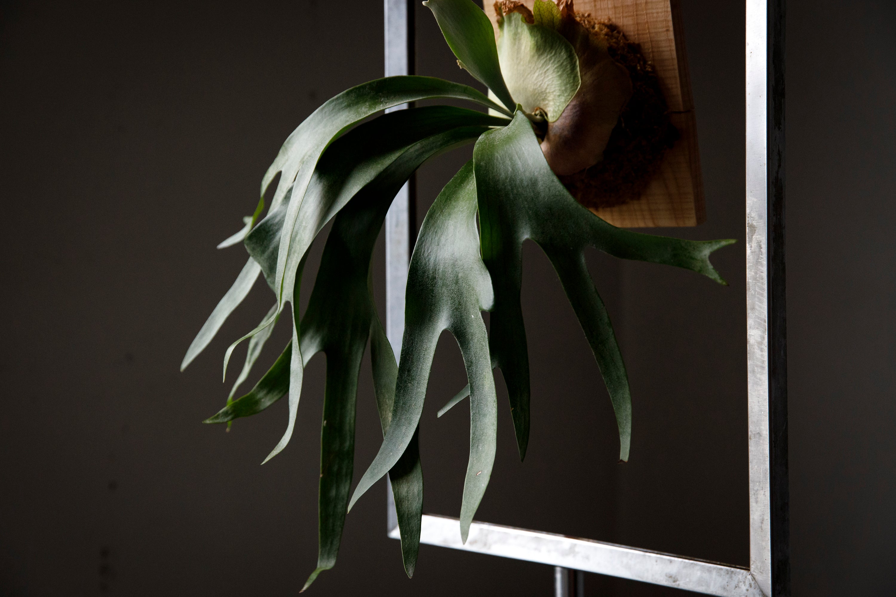 C7A3520.jpg?v=1694948157&width