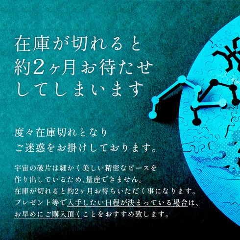 6月入庫分予約】宇宙の破片 SATURN 土星と専用フレームセット – ご