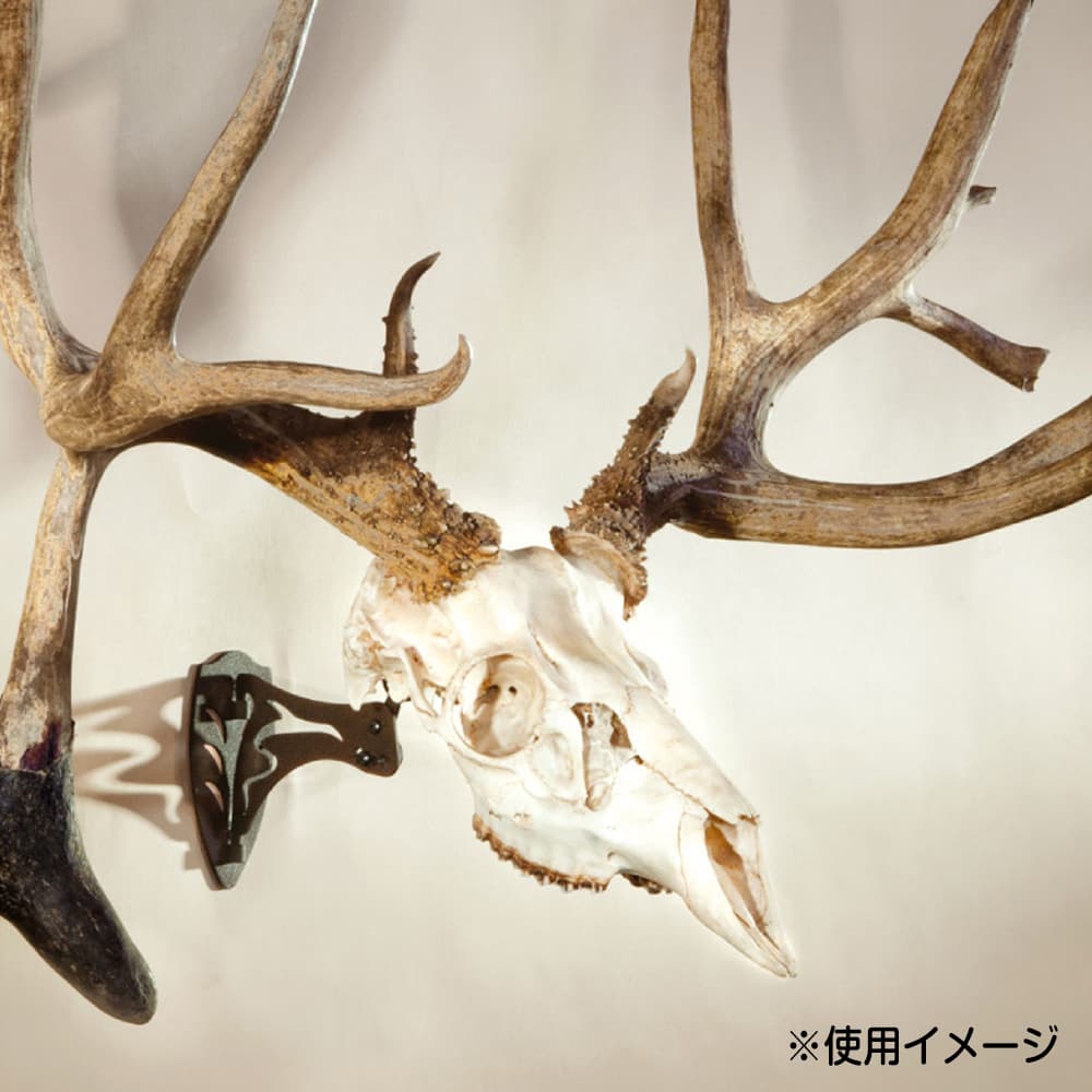 SKULL HOOKER スカルハンガー LITTLE HOOKER ハンティングトロフィー