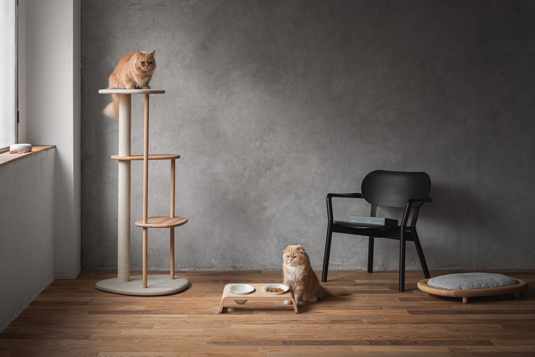 KARIMOKU CAT TABLE | Journal - RINN Inc.