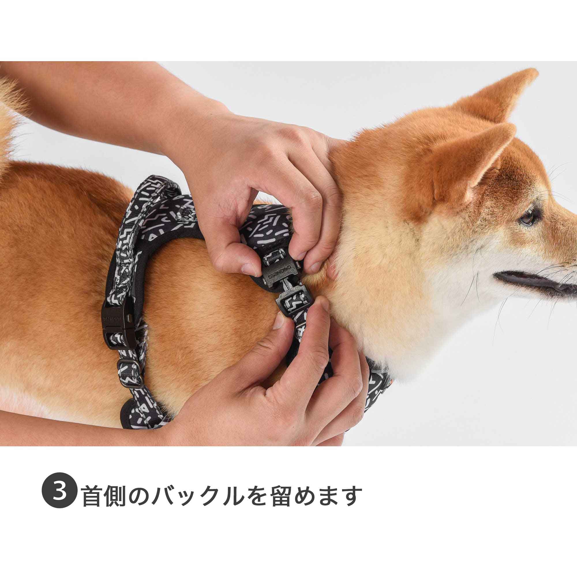 ドッグネス ハーネス エレガント フォゲットミーノット – ルークラン