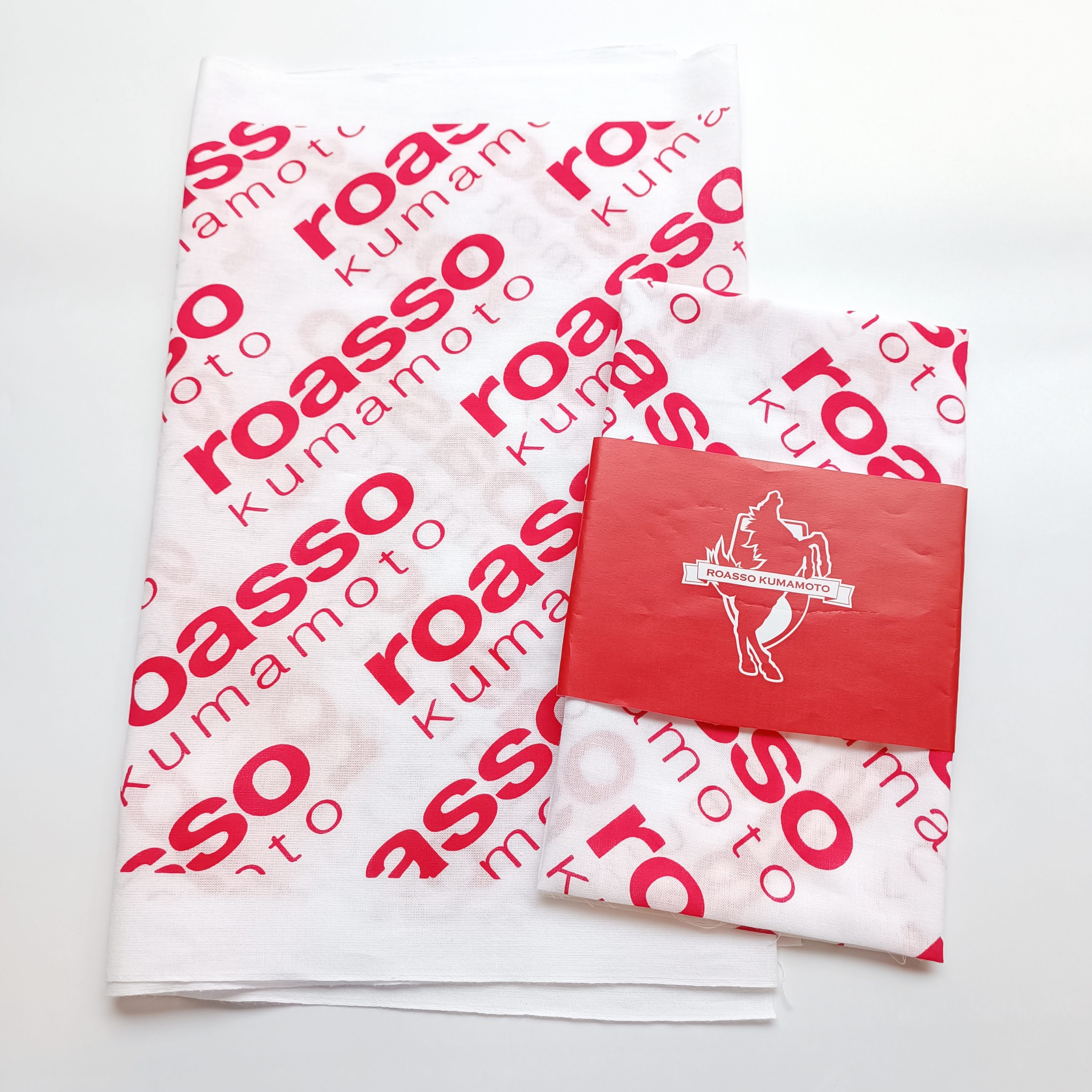 ロアッソ熊本 公式サイト｜ROASSO KUMAMOTO OFFICIAL WEBSITE