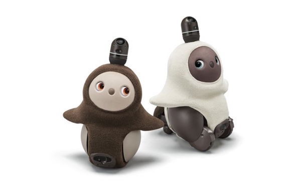 例年即日完売の大人気商品「ねこみみニット」が今年も登場！4色に加え