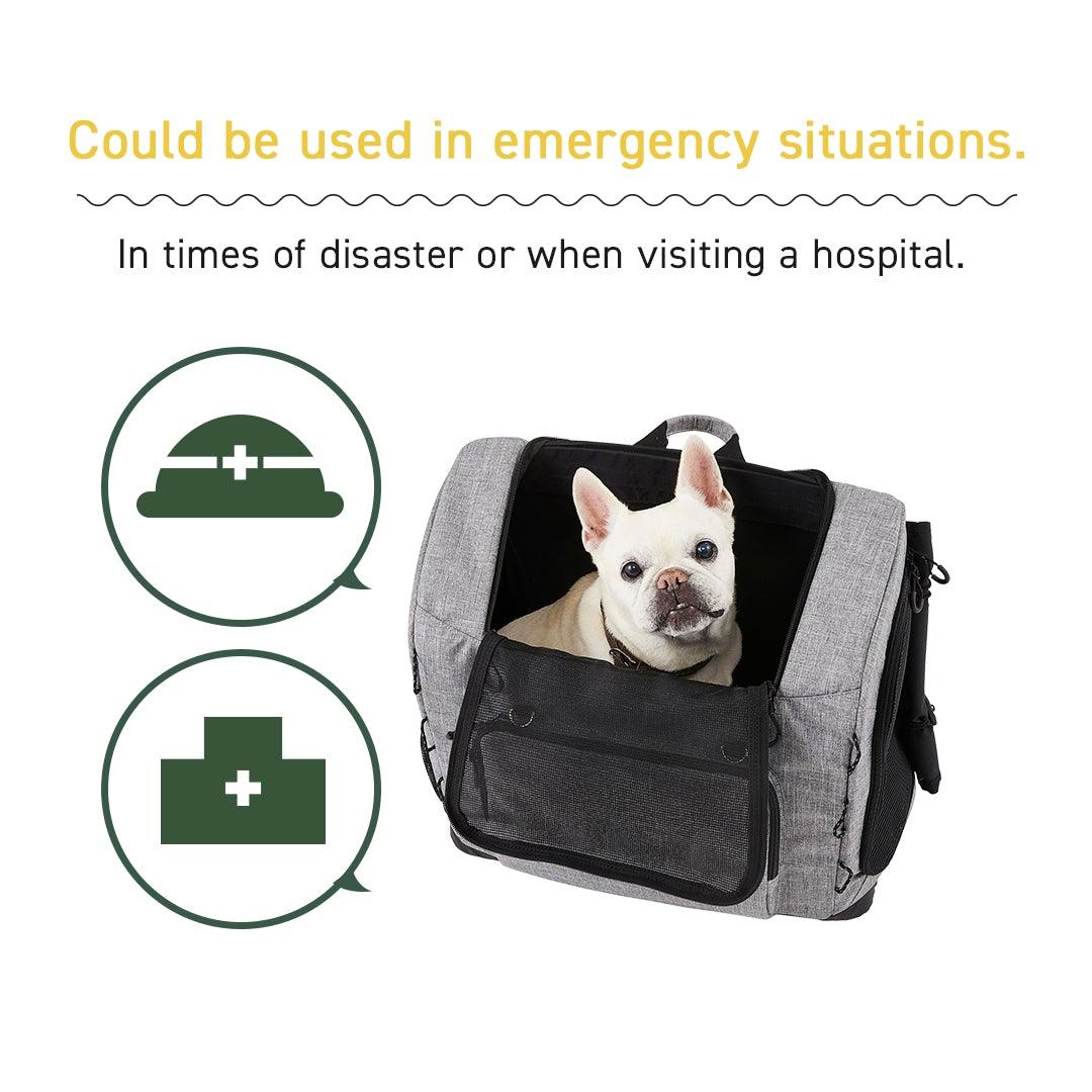 Air Buggy | 3-Way Back Pack Carrier (Wide) – Rocky & Maggie's