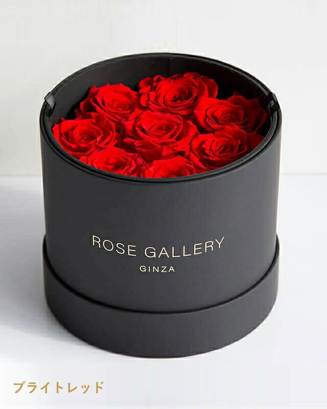 アンダーザローズ(M-L8) | ローズギャラリー銀座 オンラインショップ