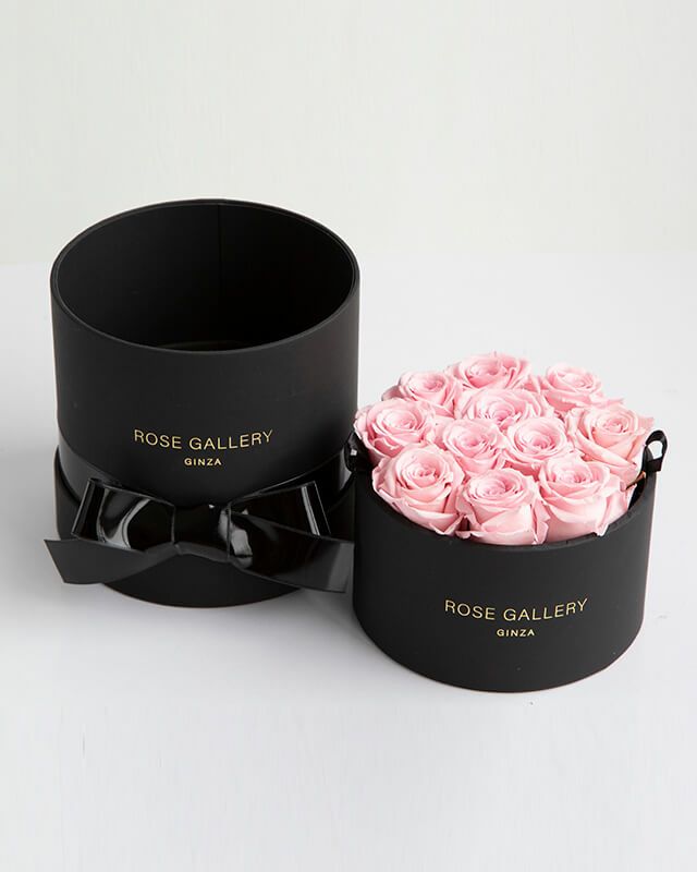 カムアップローゼス(S-N11) | ローズギャラリー銀座 オンラインショップ