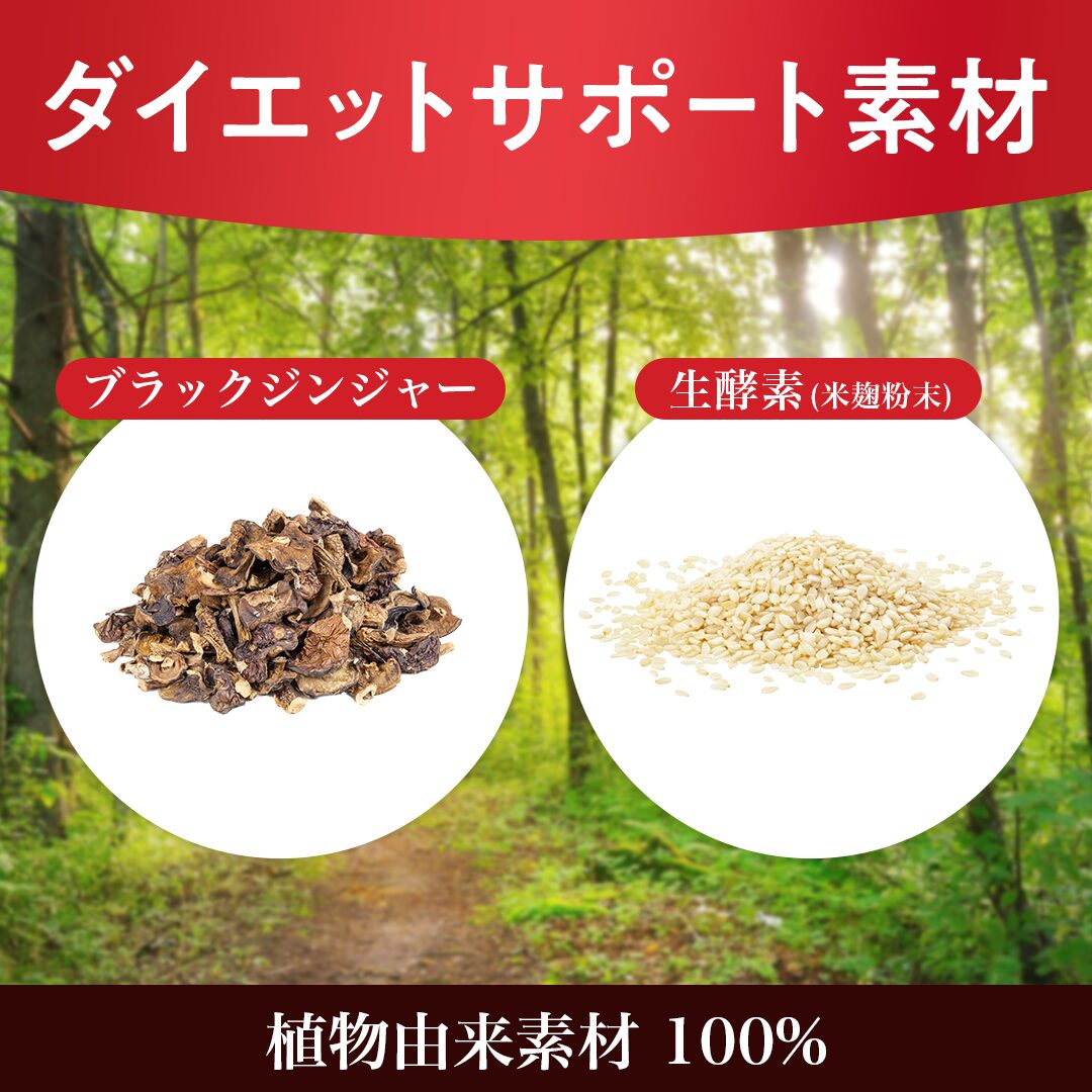 溢れるエラグ酸 コレファイン（30カプセル） | おなかカンパニーROTTS