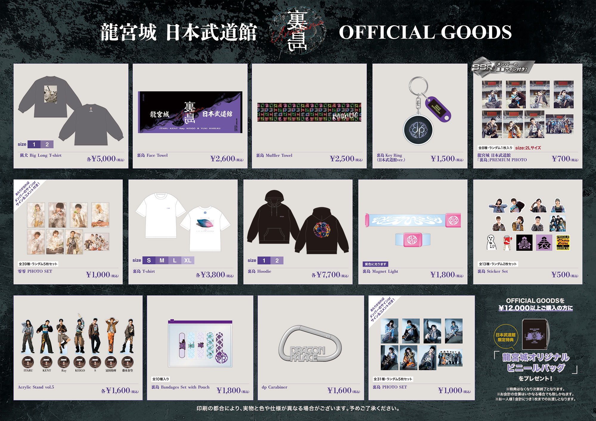 龍宮城 2025年2月22日 日本武道館「裏島」