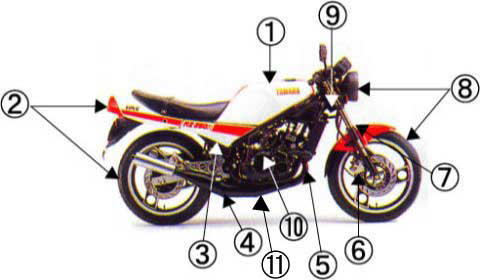 RZR-Buyers Guide（購入ガイド）